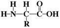 Which of the following correctly describes the image below? (5 points) a Protein Molecule-example-1