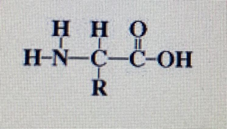 Which of the following describes the image below? Amino acid? RNA molecule? protein-example-1