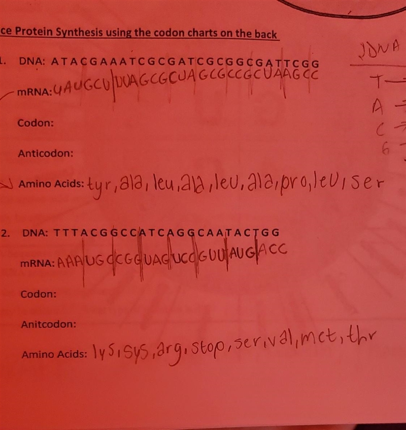 How do I find the codon and anti codon? :)​-example-1