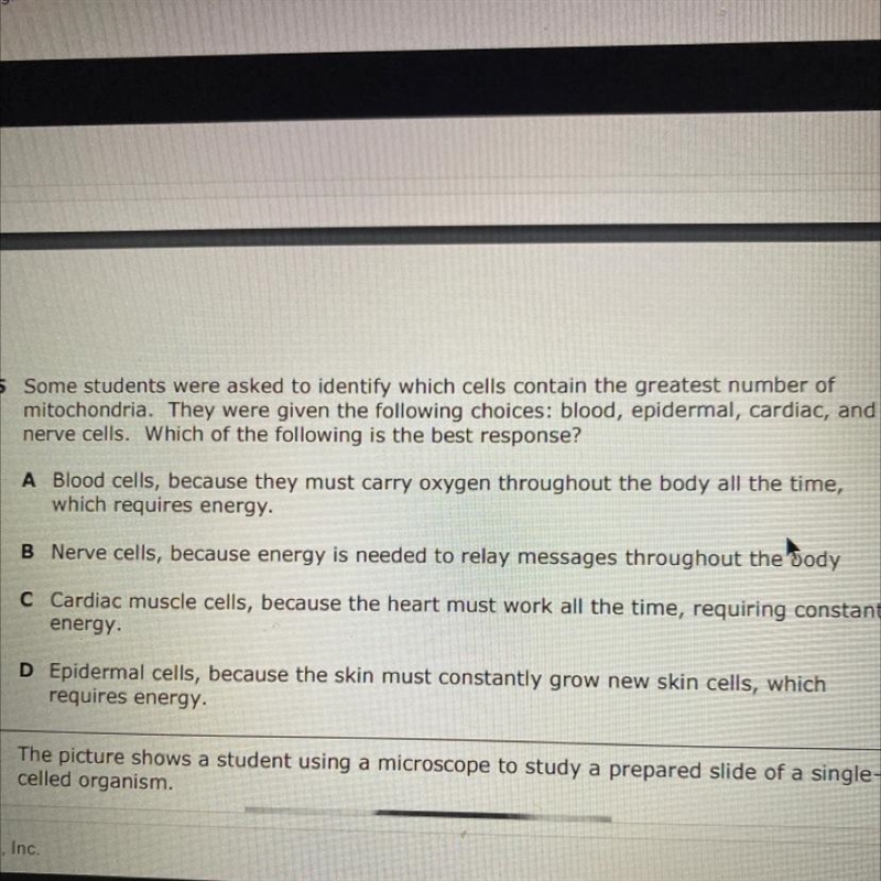 Which has the greatest number of mitochondria a blood, epidermal, cardiac, or nerve-example-1