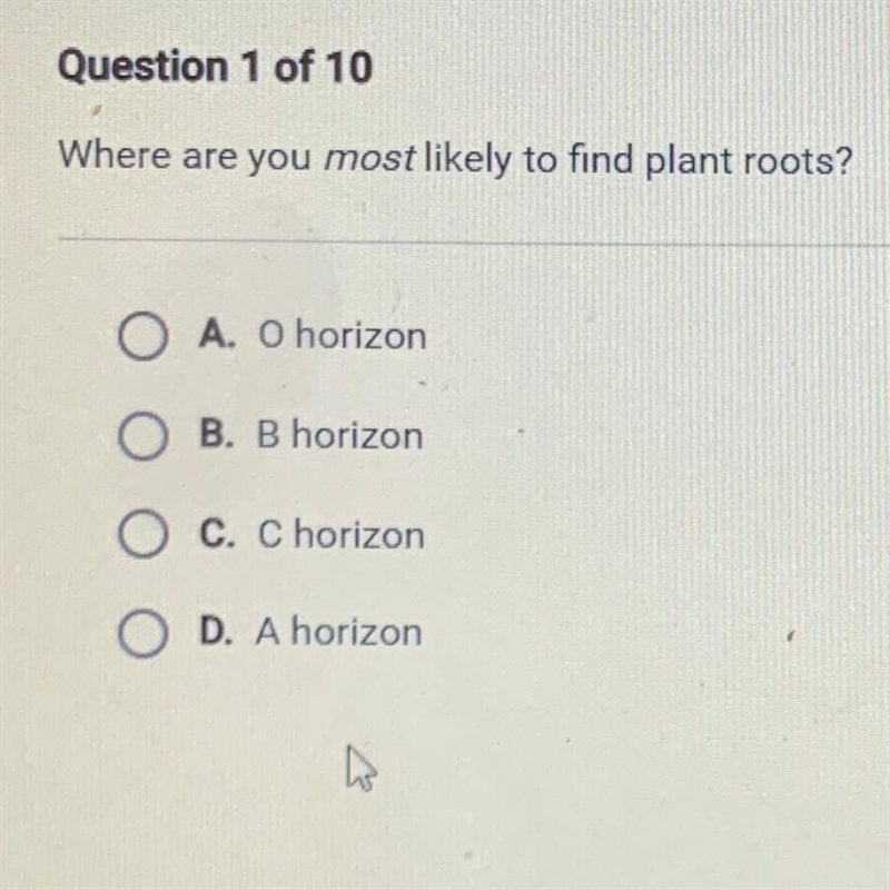 Where are you most likely to find plant roots? A. O horizon B. B horizon C. Chorizon-example-1