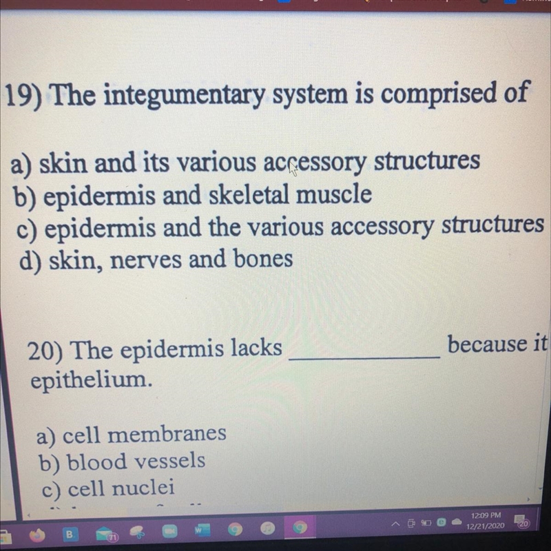 The integumentary system is comprised of-example-1