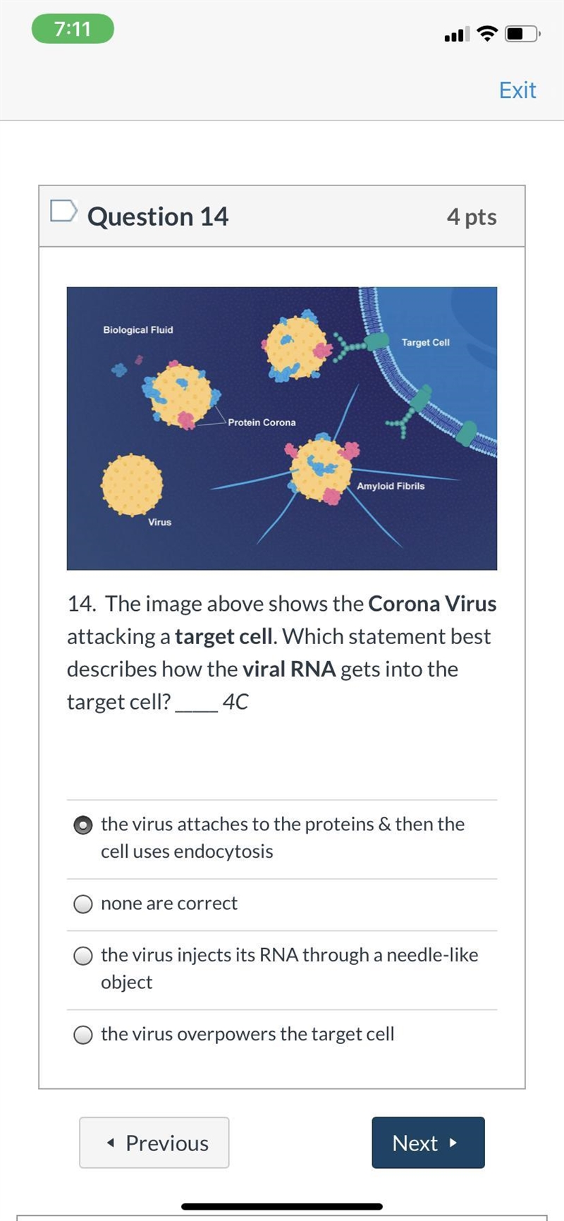 The image above shows the Corona Virus attacking a target cell. Which statement best-example-1