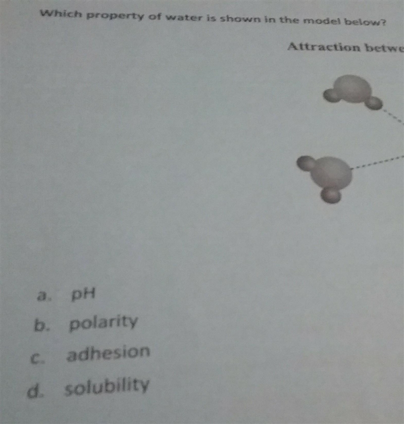 Which property of water is shown in the model below? A. pH b. polarity C. adhesion-example-1