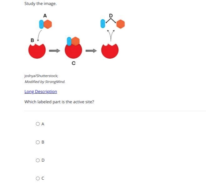 Please Help Me Really Quick-example-1