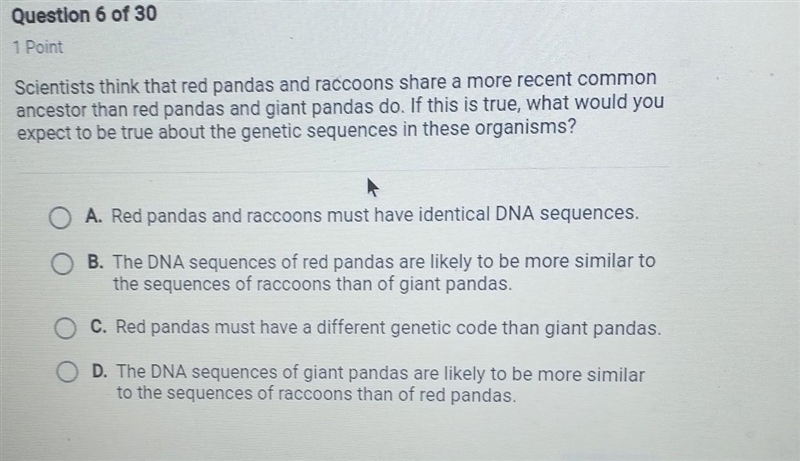 start this thing that red pandas and raccoons are more a recent common ancestor that-example-1