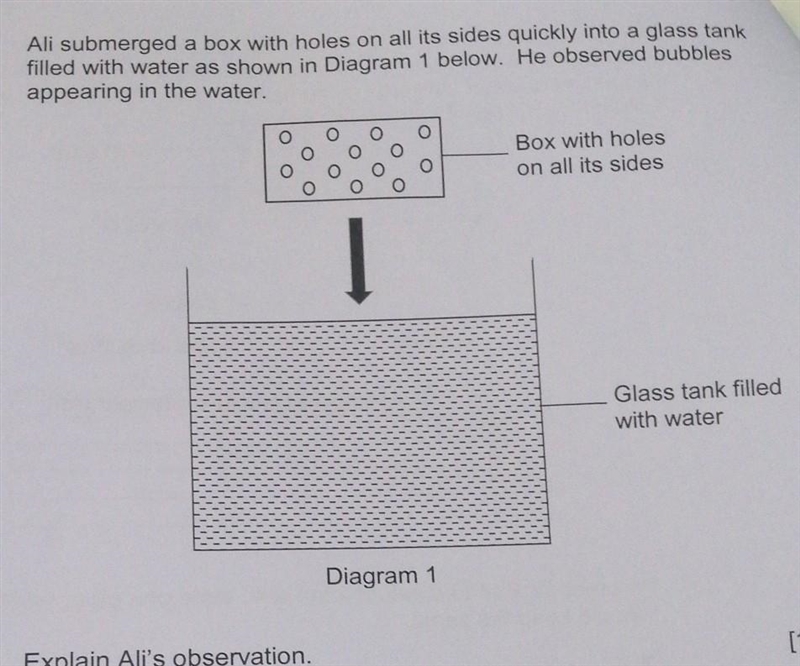 Need help with this question. (Explain Ali's observation)​-example-1