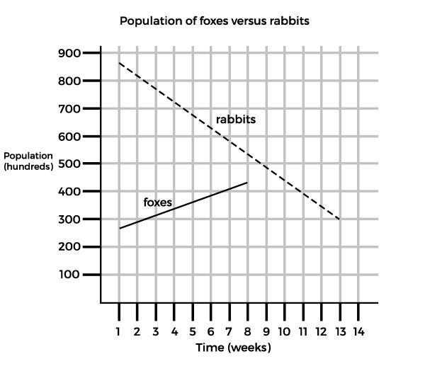 When the population of rabbits falls to 400, what will be the population of foxes-example-1