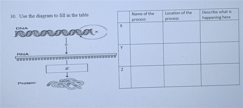 Please help me. Use the diagram to fill in the chart.-example-1