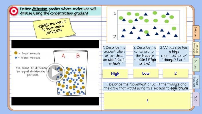 Help with #4 Idk if the rest a right-example-1