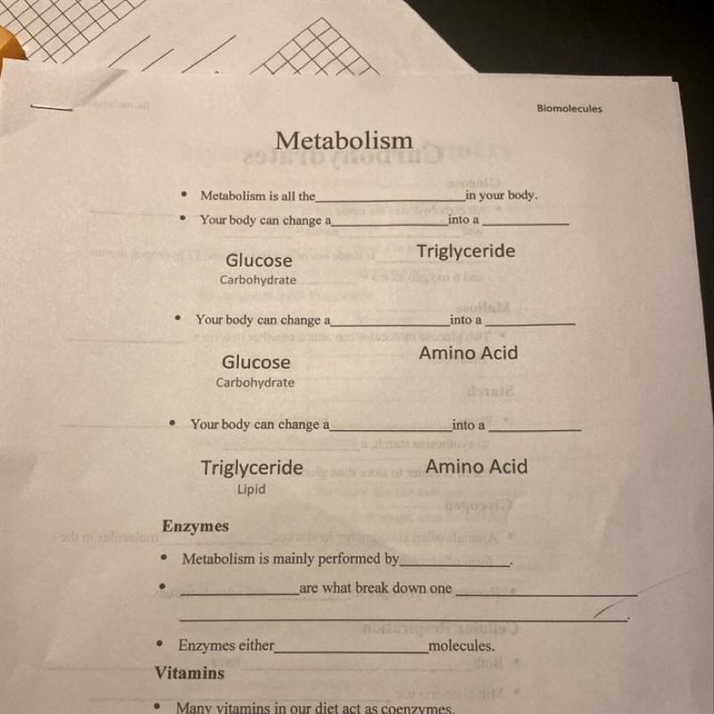 Metabolism is all the in your body-example-1