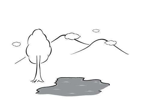 Describe how the water cycle moves water between the tree, the lake, and the sky in-example-1