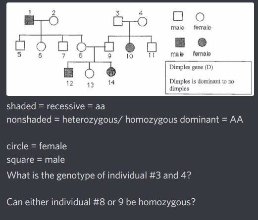 Can anyone help me with this question??-example-1