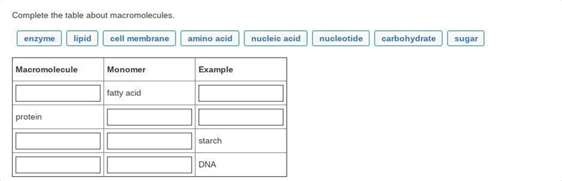 Complete the table about macromolecules. (enzyme) (lipid) (cell membrane) (amino acid-example-1