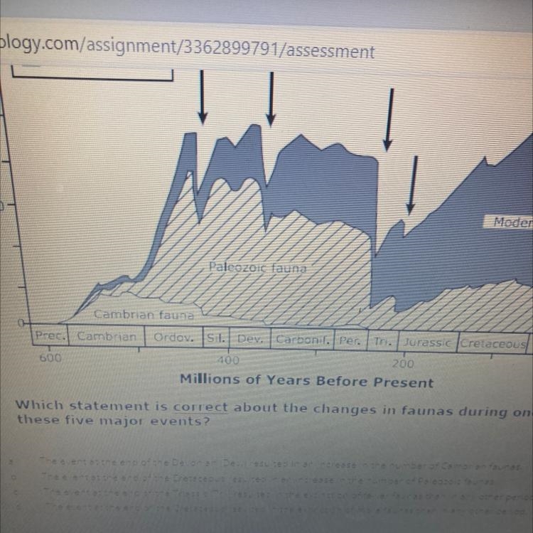 The graph shows the changes in the number of animal fauna's living on earth overtime-example-1