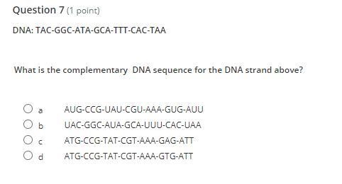 DNA: TAC-GGC-ATA-GCA-TTT-CAC-TAA What is the complementary DNA sequence for the DNA-example-1