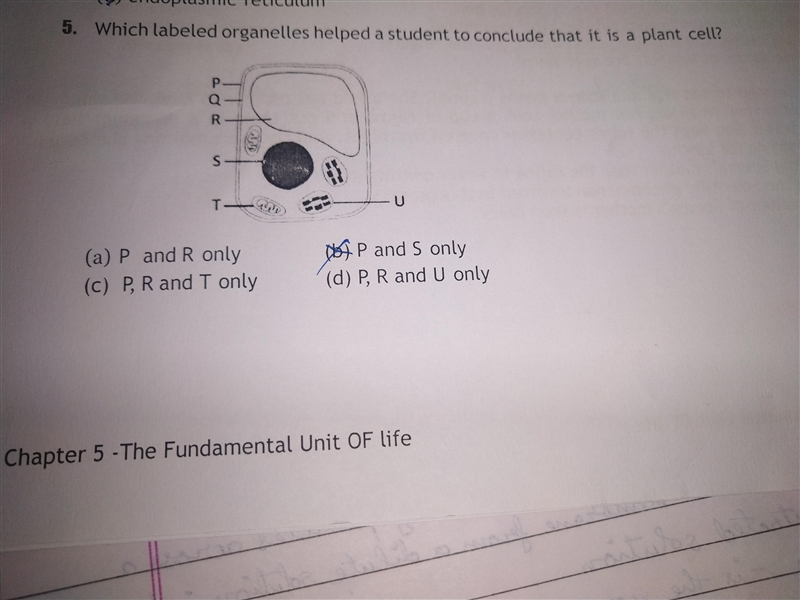 Answer the question of bio it is in the attachment-example-1