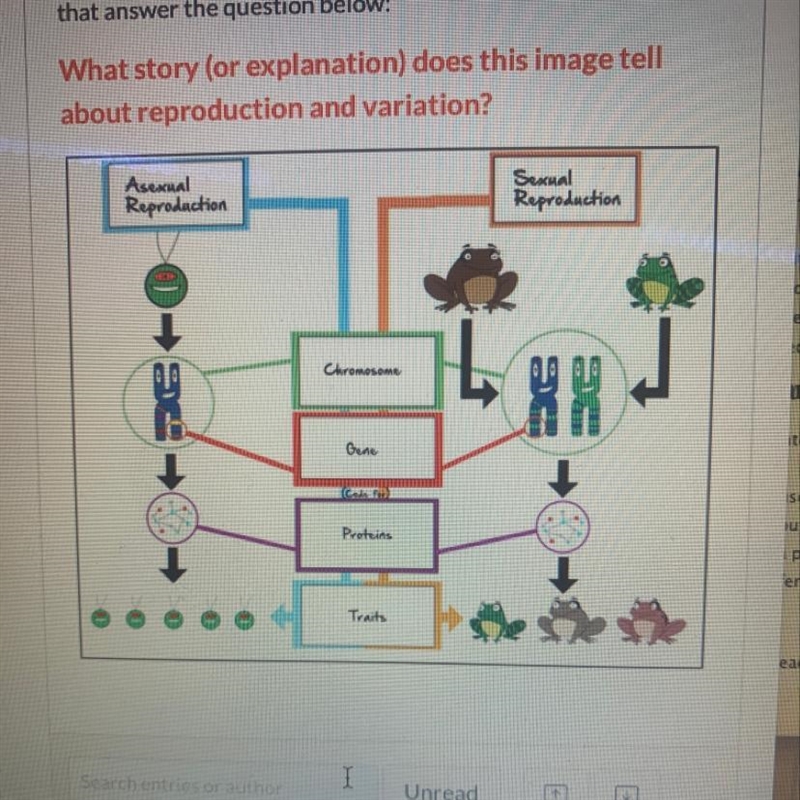 What explanation does this image tell about reproduction and variation?-example-1