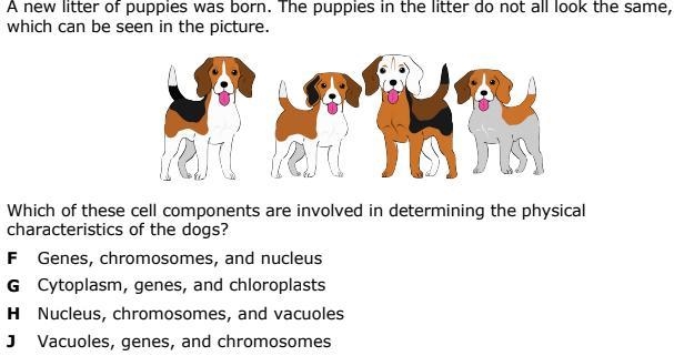 Please help! (\_/) 10 pts-example-1