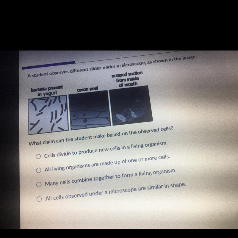 What claim can the student make based on the observed cells?-example-1