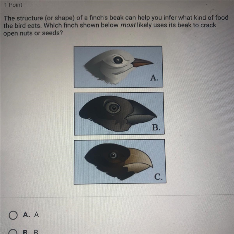 The structure (or shape) of a finch's beak can help you infer what kind of food the-example-1