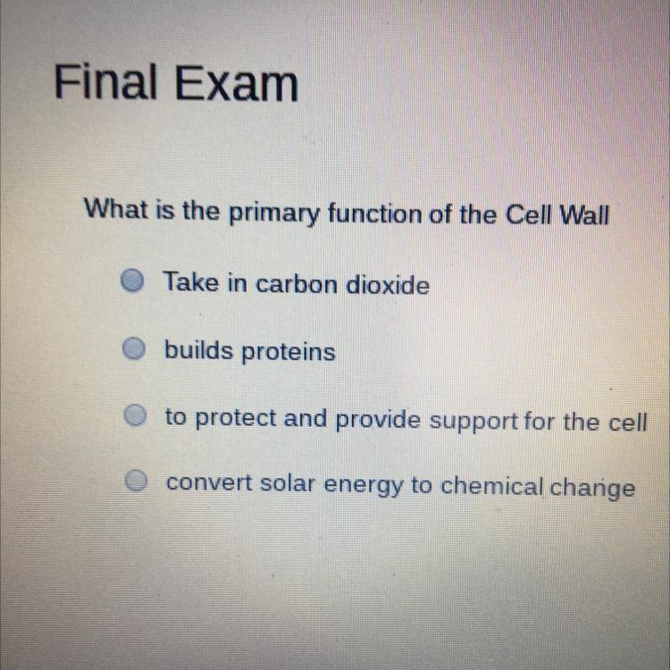 What is the primary function of the Cell Wall? 1.Take in carbon dioxide 2.builds proteins-example-1