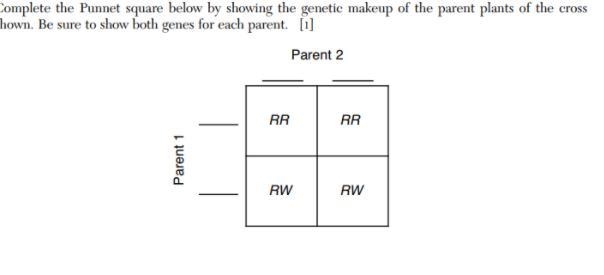 Complete the Punnett square below by showing the genetic makeup of the parent plats-example-1