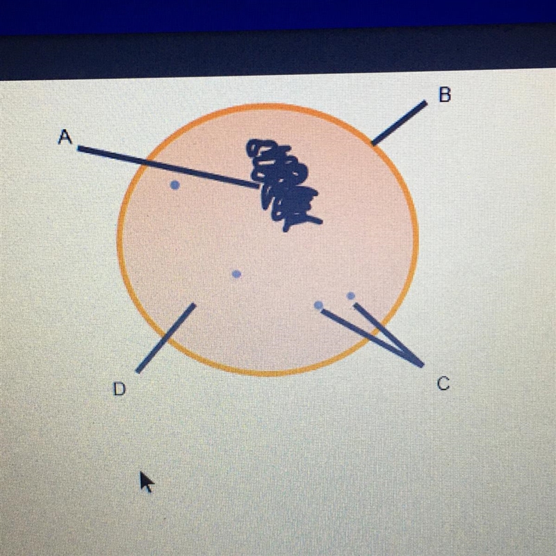 Using the drop-down menus, identify the structures common to all cells. Label A Label-example-1