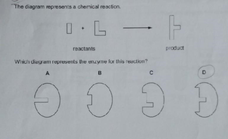 Can you please direct me and explain it too​-example-1