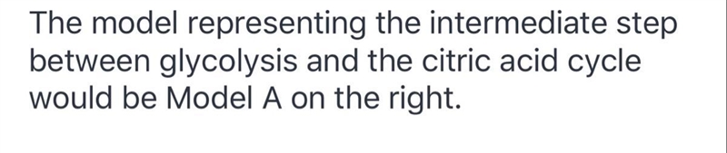 Which model represents the intermediate step between glycolysis and the citric acid-example-1