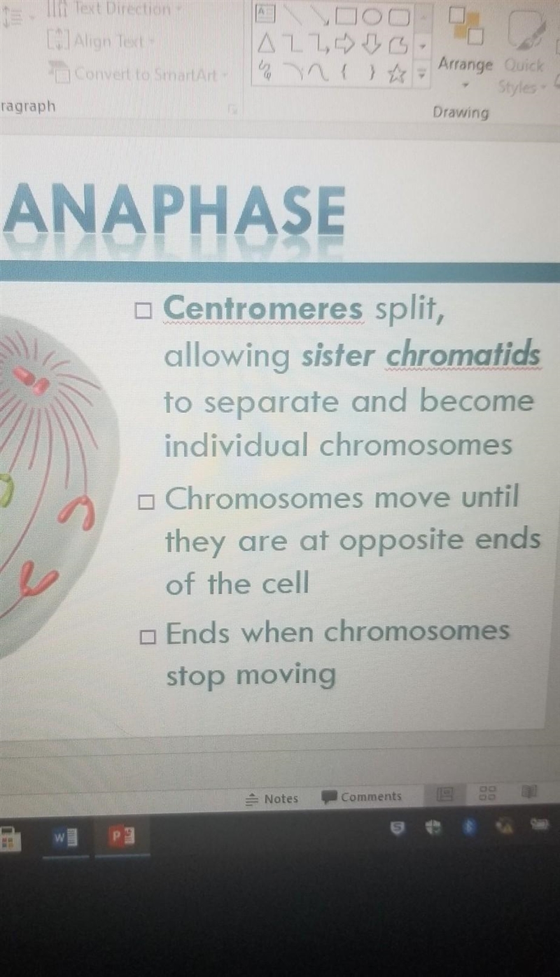 Put the steps of mitosis in the correct order-example-3