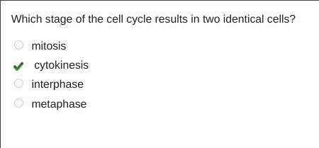 HURRRY Which stage of the cell cycle results in two identical cells? A. mitosis B-example-1