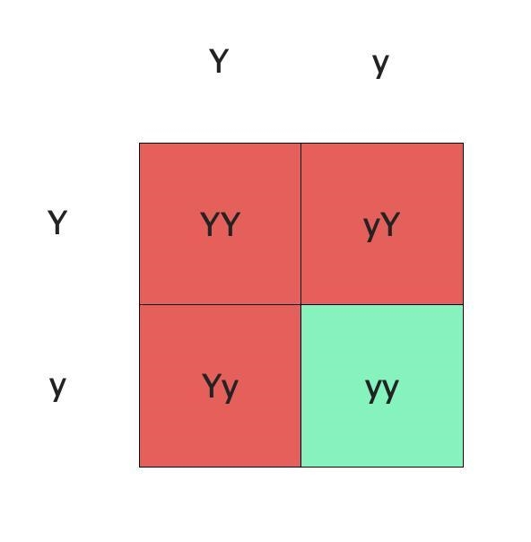 Genetics Variation of Traits Scenario First Cross: Two pea plants were crossed, one-example-2