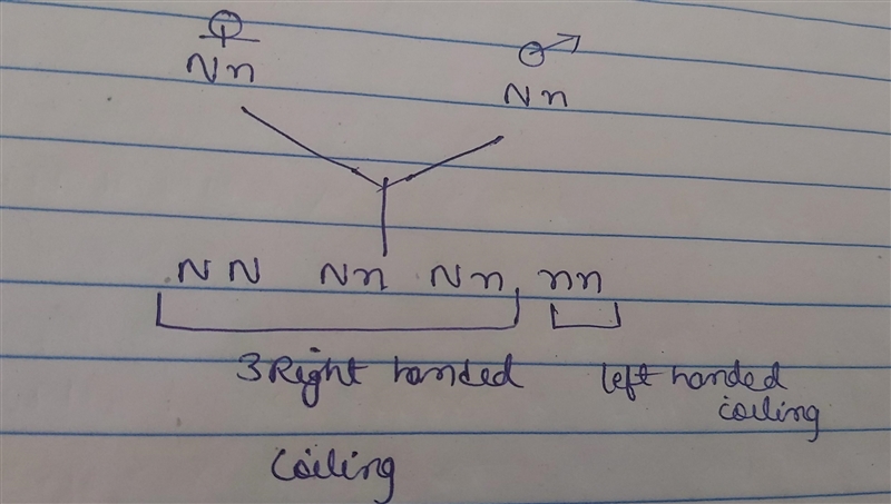 A maternal effect can cause the offspring phenotype ratio to depart from that of classic-example-1