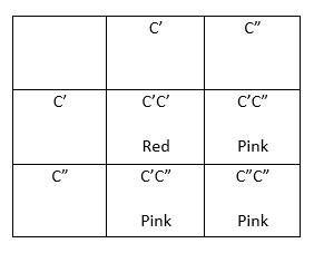 According to Kolreuter's experiment, how could you ensure that pink flowers were always-example-1