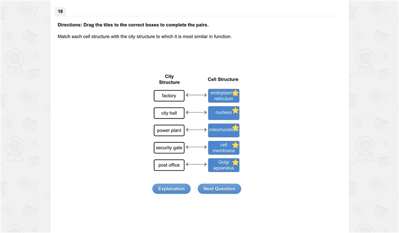 Match each organelle structure with its function in the cell. Question 3 options: This-example-1