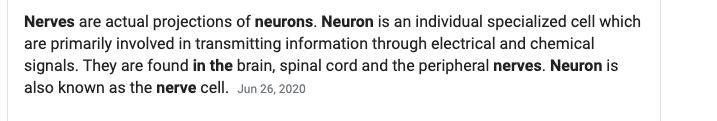 Difference between nerves and neuron???-example-1