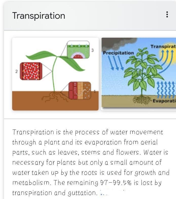 Transpiration is B. The absorption of water through the roots A. Simple diffusion-example-1