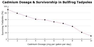 Suppose a small river with a population of 10,000 frogs becomes polluted with cadmium-example-1