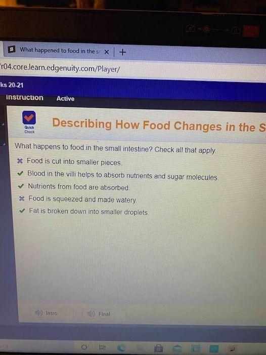 What happened to food in the small intestine check all that apply-example-1