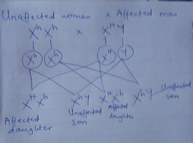 Considering an X-linked dominant trait, if an unaffected woman and an affected man-example-1