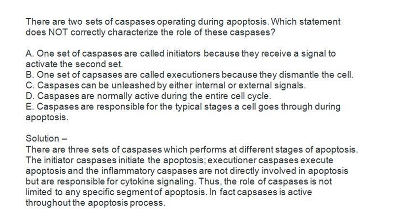 There are two sets of caspases opreating during apoptosis. Which of the following-example-1