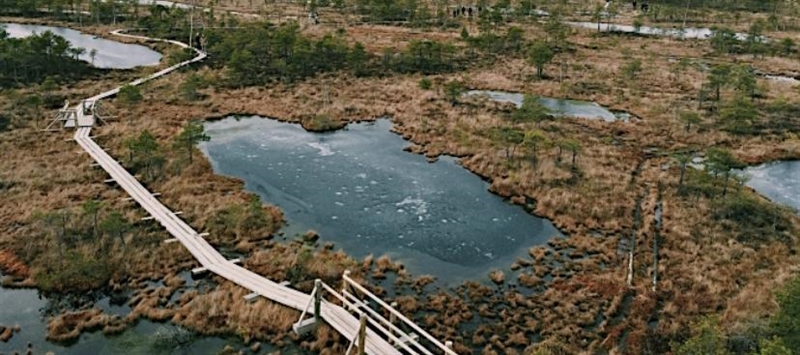 A bog is a wetland that... A) is entirely covered with thick floating mats of vegetation-example-1