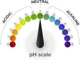 Neutral pH is ______. Choose one answer. a. 7 b. 5 c. 0-example-1