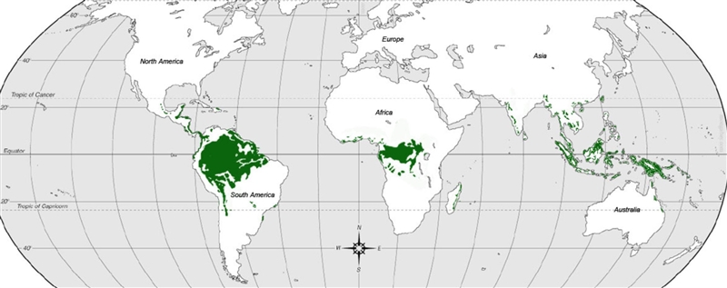 Where are Earth's most diverse and productive biomes located? A. Throughout Europe-example-1