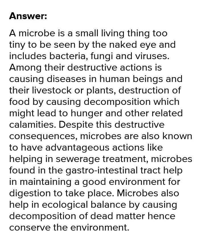 Describe some of destructive action of microbes ​-example-1