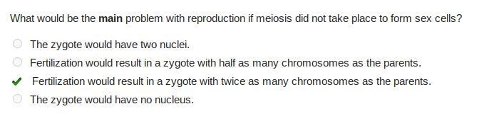 What would be the main problem with reproduction if meiosis did not take place to-example-1