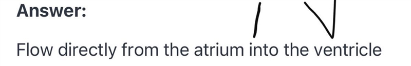 What is the blood flow of the antrial systole? ​-example-1