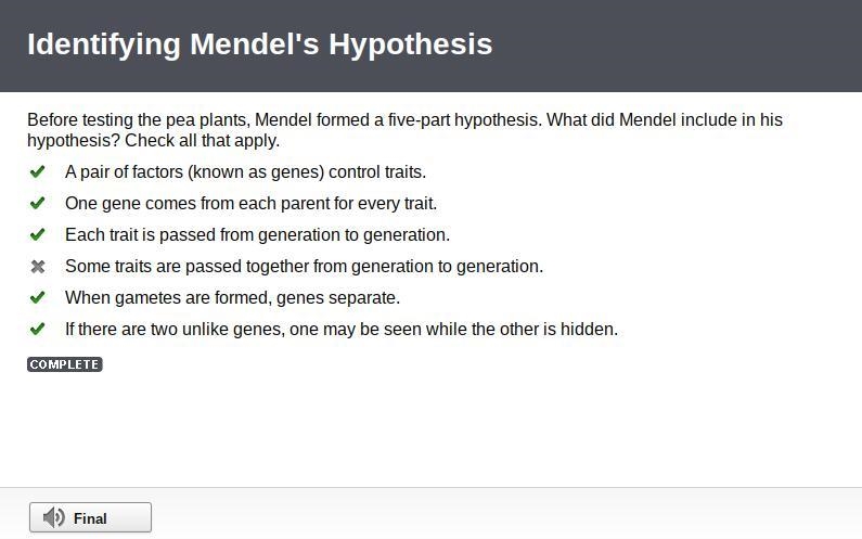 Before testing the pea plants, Mendel formed a five-part hypothesis. What did Mendel-example-1