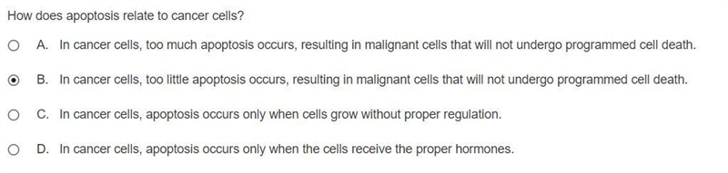 How does apoptosis relate to cancer cells? A. In cancer cells, too much apoptosis-example-1